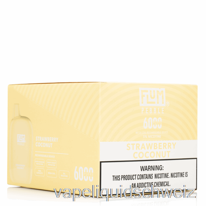 [10er-Pack] Flum Pebble 6000 Einweg-Vape Schweiz